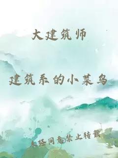 大建筑师