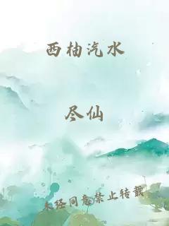 西柚汽水