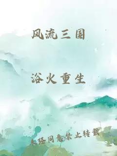 风流三国