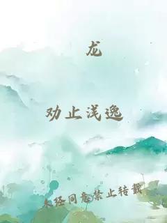 盀龙