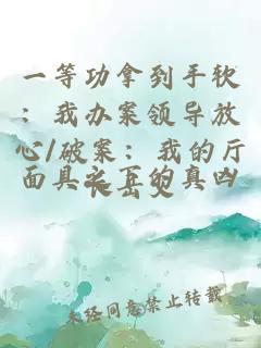 一等功拿到手软：我办案领导放心/破案：我的厅长岳父