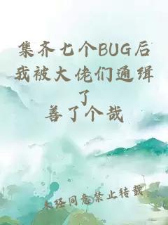集齐七个BUG后我被大佬们通缉了