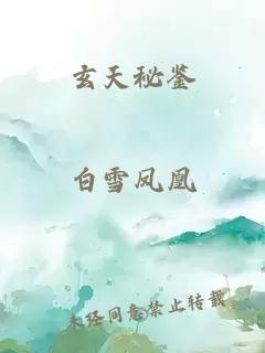 玄天秘鉴